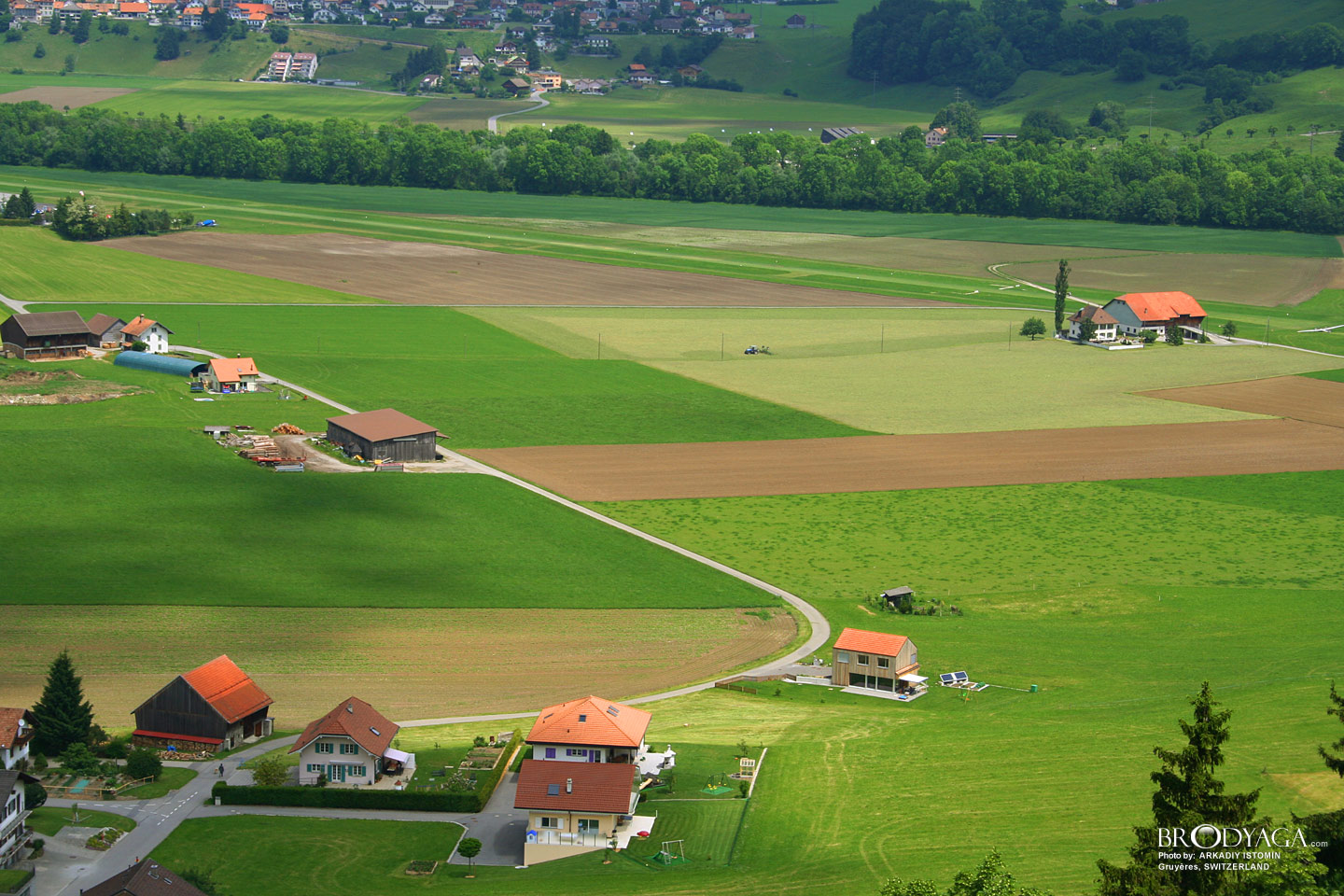 Gruyeres